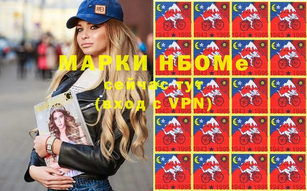 прущие грибы Михайлов