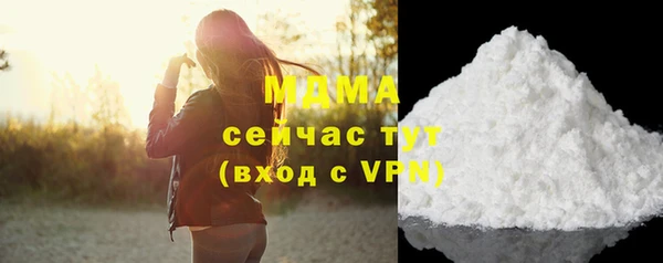 прущие грибы Михайлов