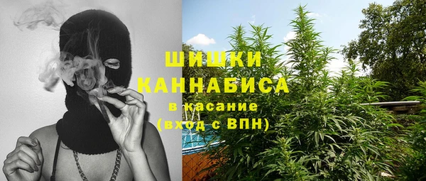 прущие грибы Михайлов