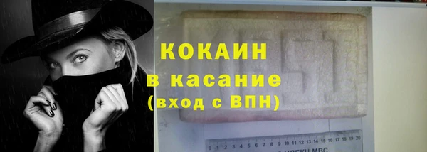 прущие грибы Михайлов
