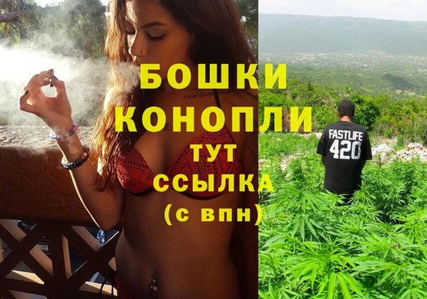 прущие грибы Михайлов