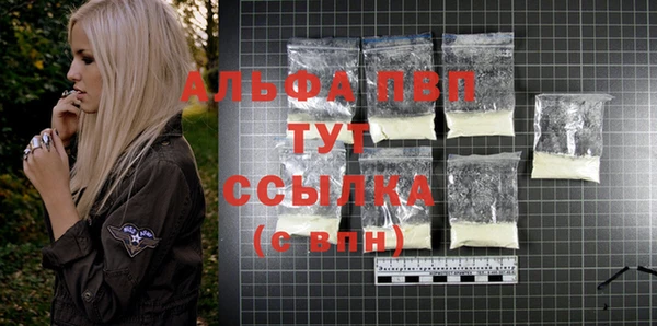 прущие грибы Михайлов