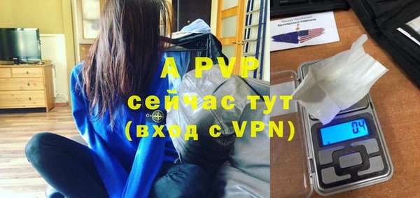 прущие грибы Михайлов