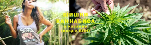 прущие грибы Михайлов
