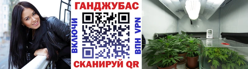 Конопля планчик  наркошоп  Липецк 